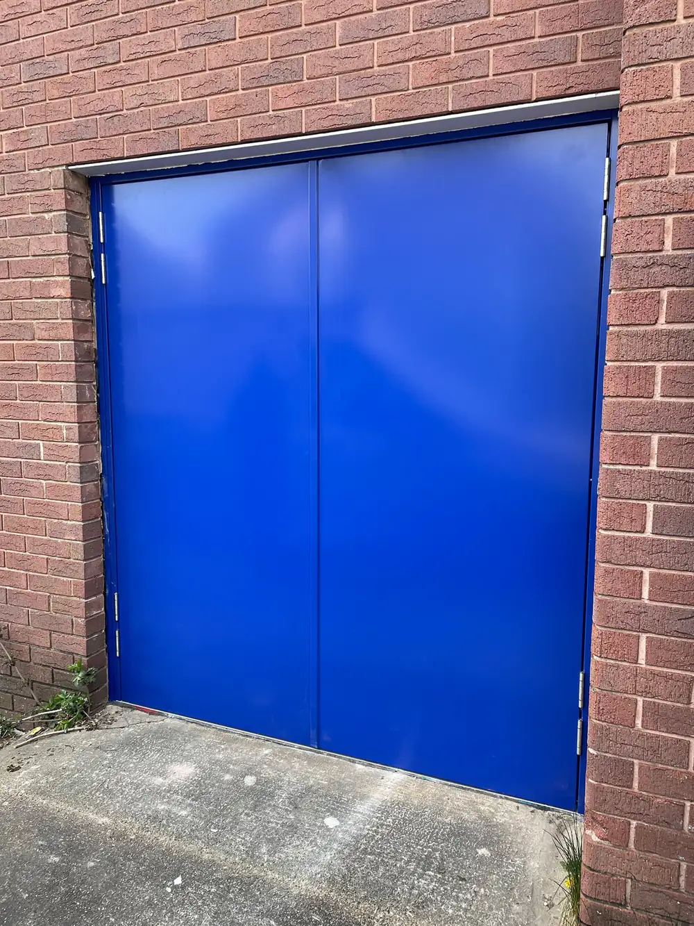 Blue steel security double doors